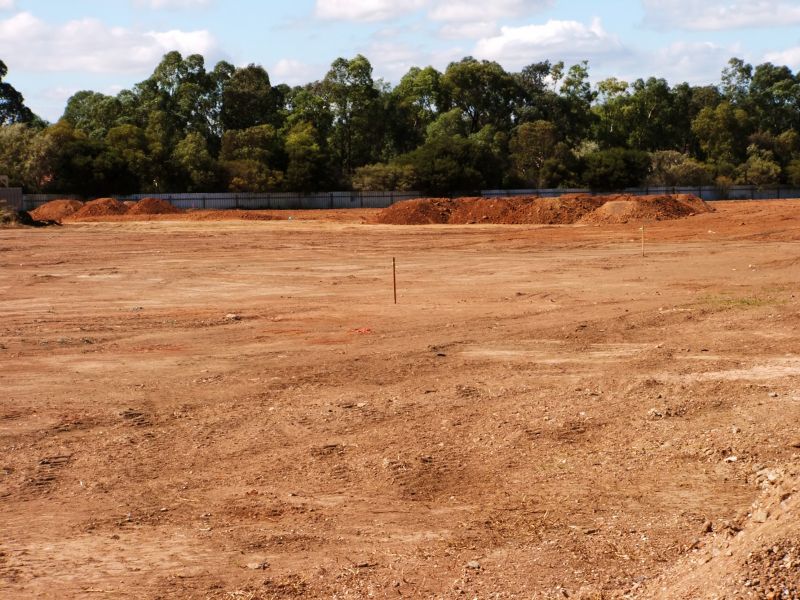 Clear Landscape After Removal