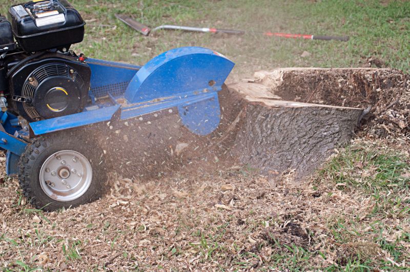 Stump Grinding Completion
