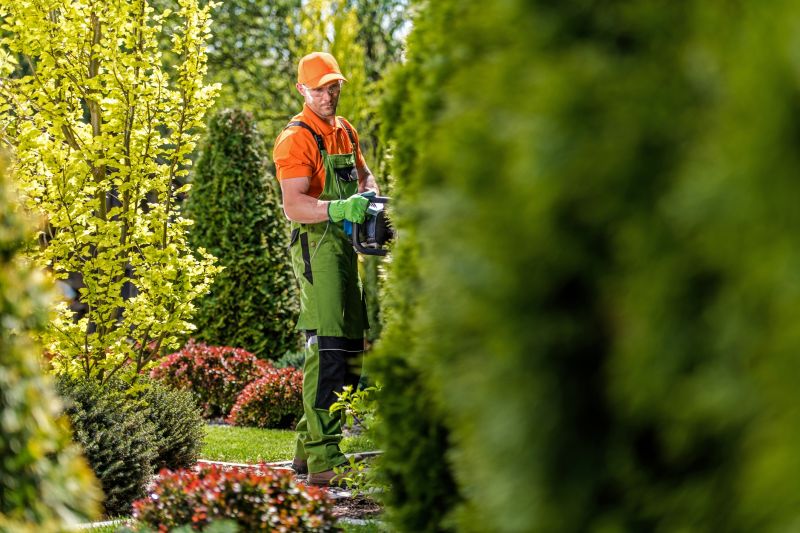 Shrubs Along a Fence Line